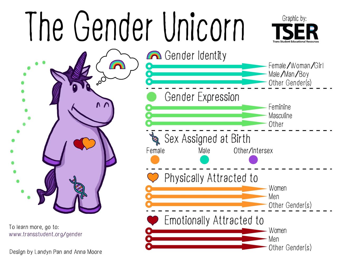 the gender unicorn infographic